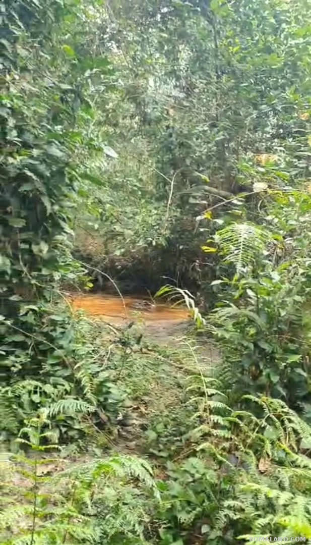 Agricultural Land for sale in Kyesiiga Kyotera Uganda