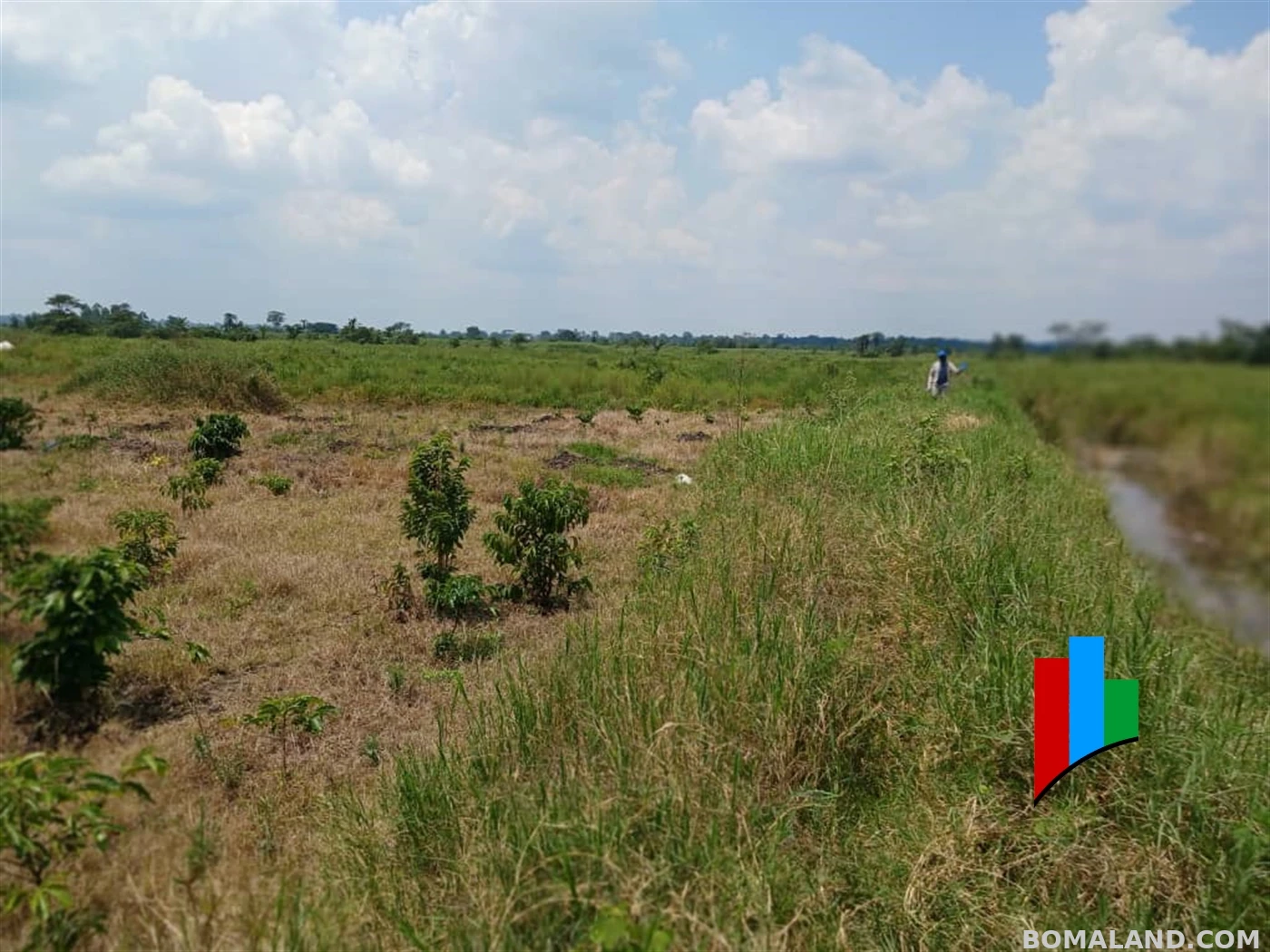 Agricultural Land for sale in Kiwoko Nakaseke Uganda