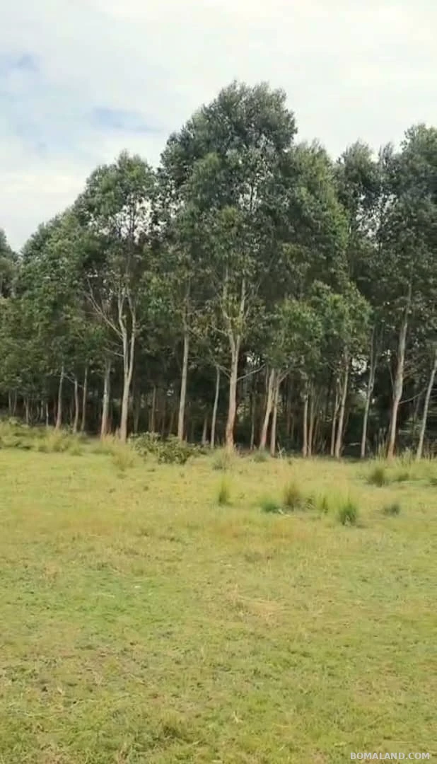Agricultural Land for sale in Kyesiiga Kyotera Uganda