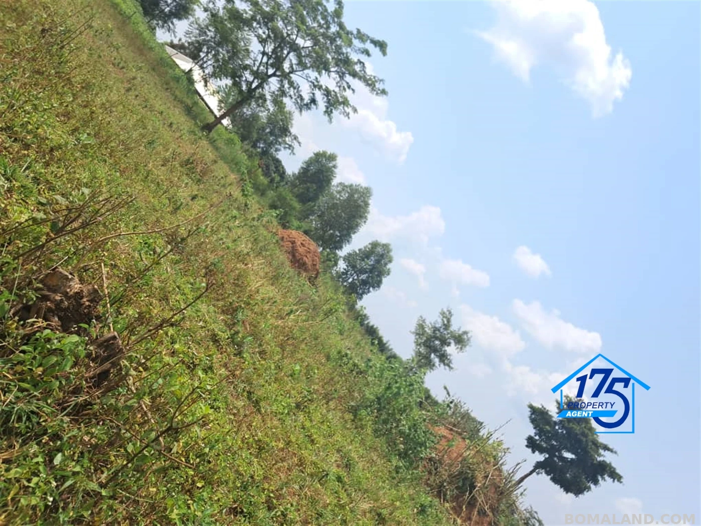 Residential Land for sale in Wabitunguru Luweero Uganda