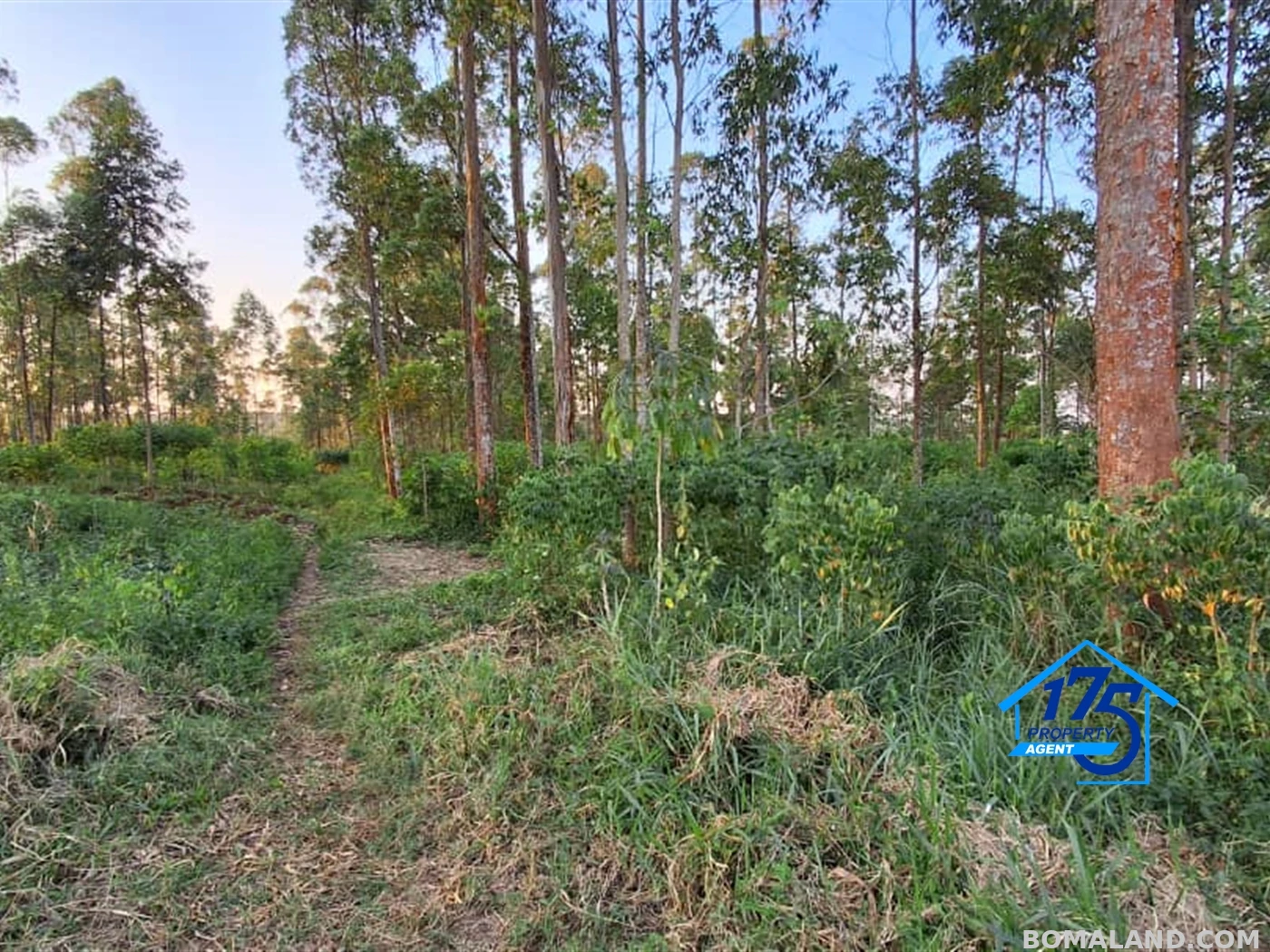 Residential Land for sale in Nkokonjeru Mukono Uganda