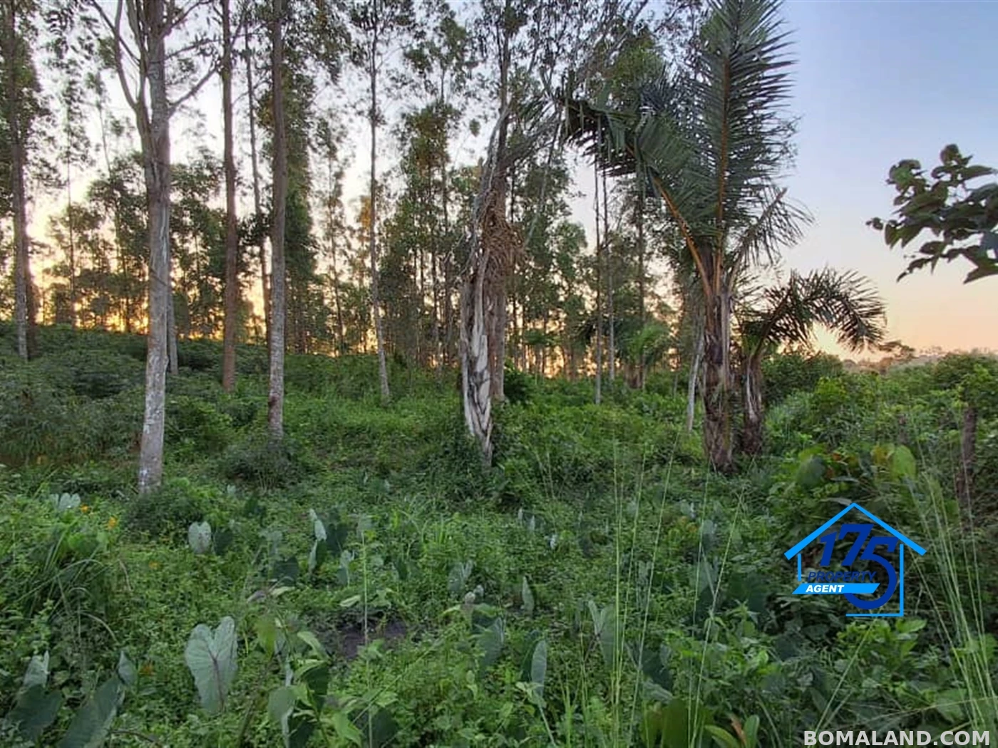 Residential Land for sale in Nkokonjeru Mukono Uganda