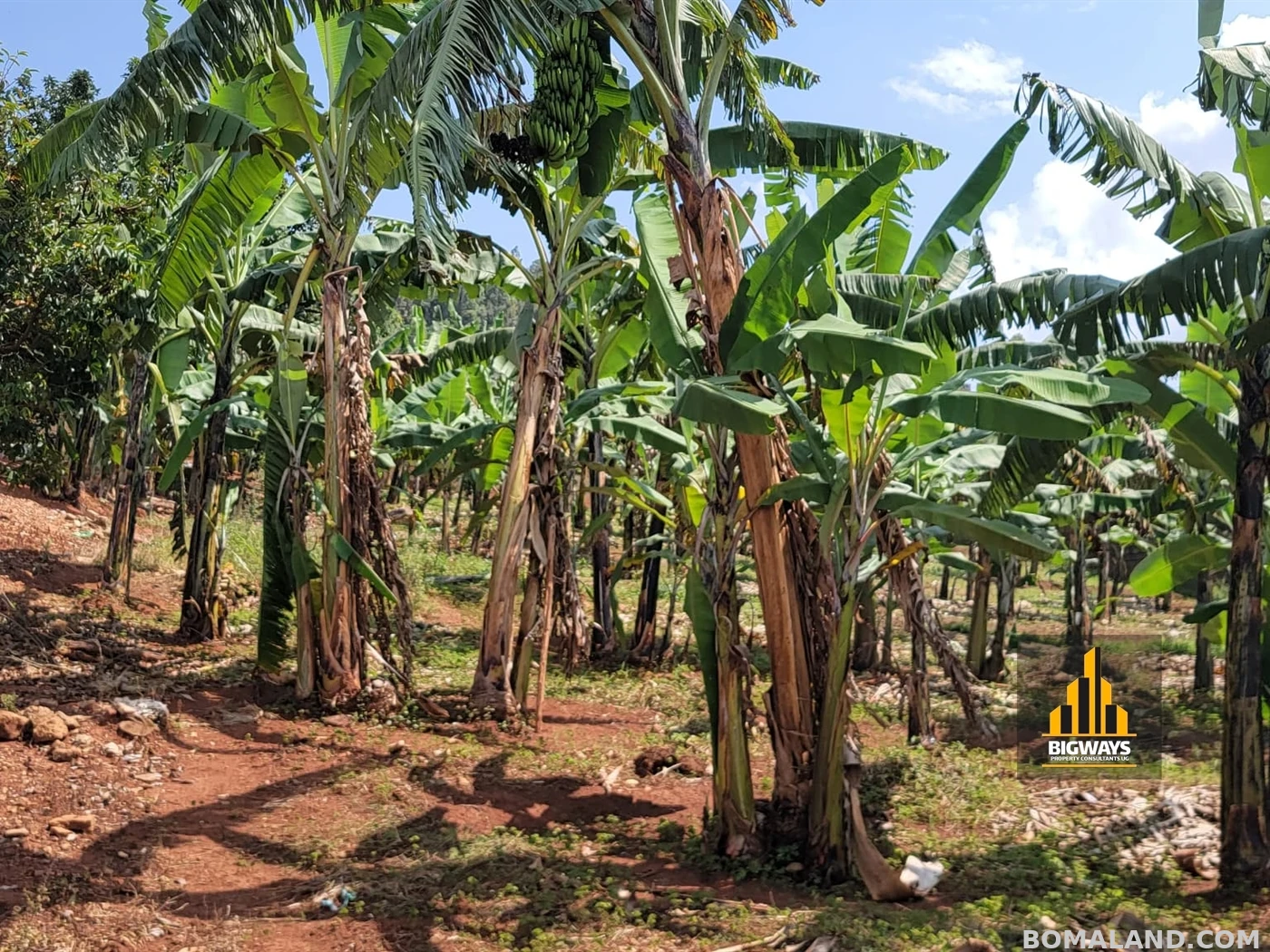 Residential Land for sale in Bwebajja Wakiso Uganda