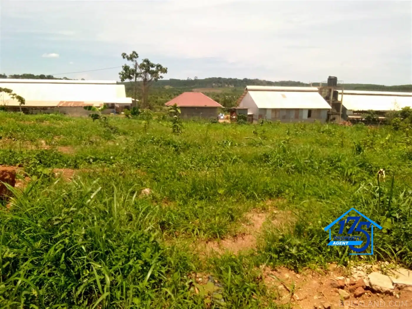 Residential Land for sale in Bukeelele Mukono Uganda