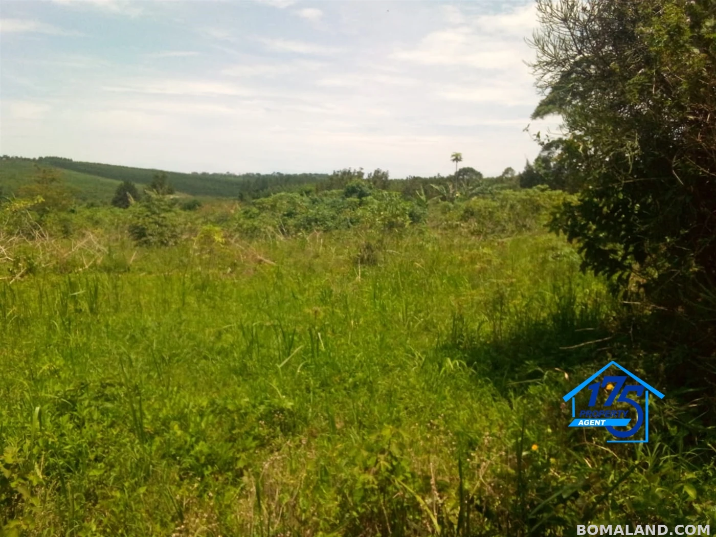 Residential Land for sale in Bukeelele Mukono Uganda