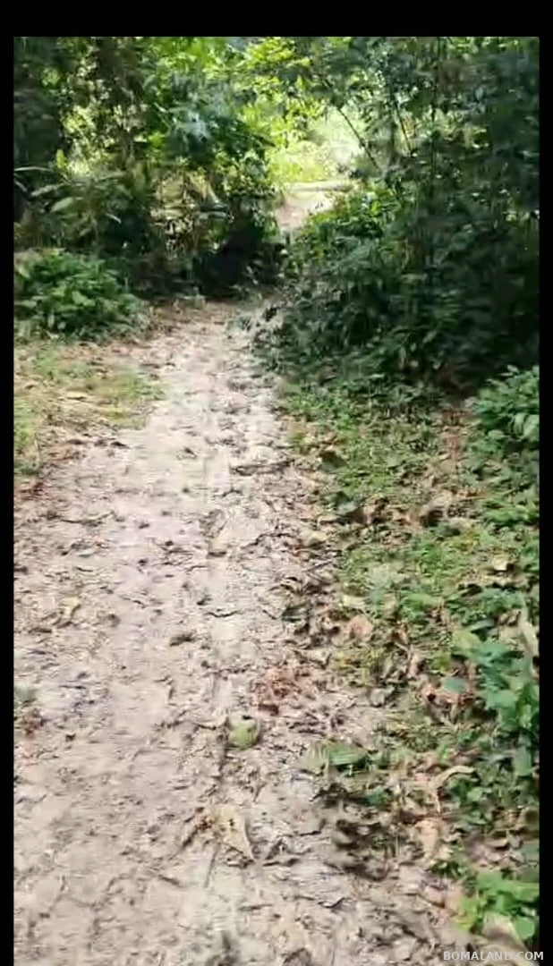 Agricultural Land for sale in Kyesiiga Kyotera Uganda