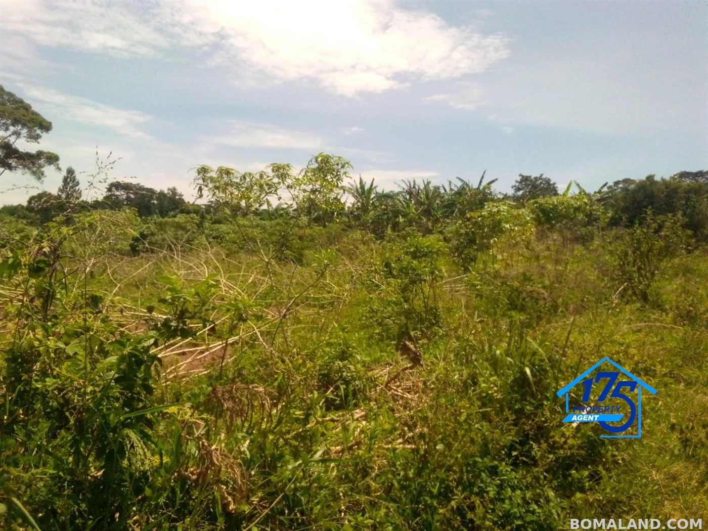 Residential Land for sale in Bukeelele Mukono Uganda