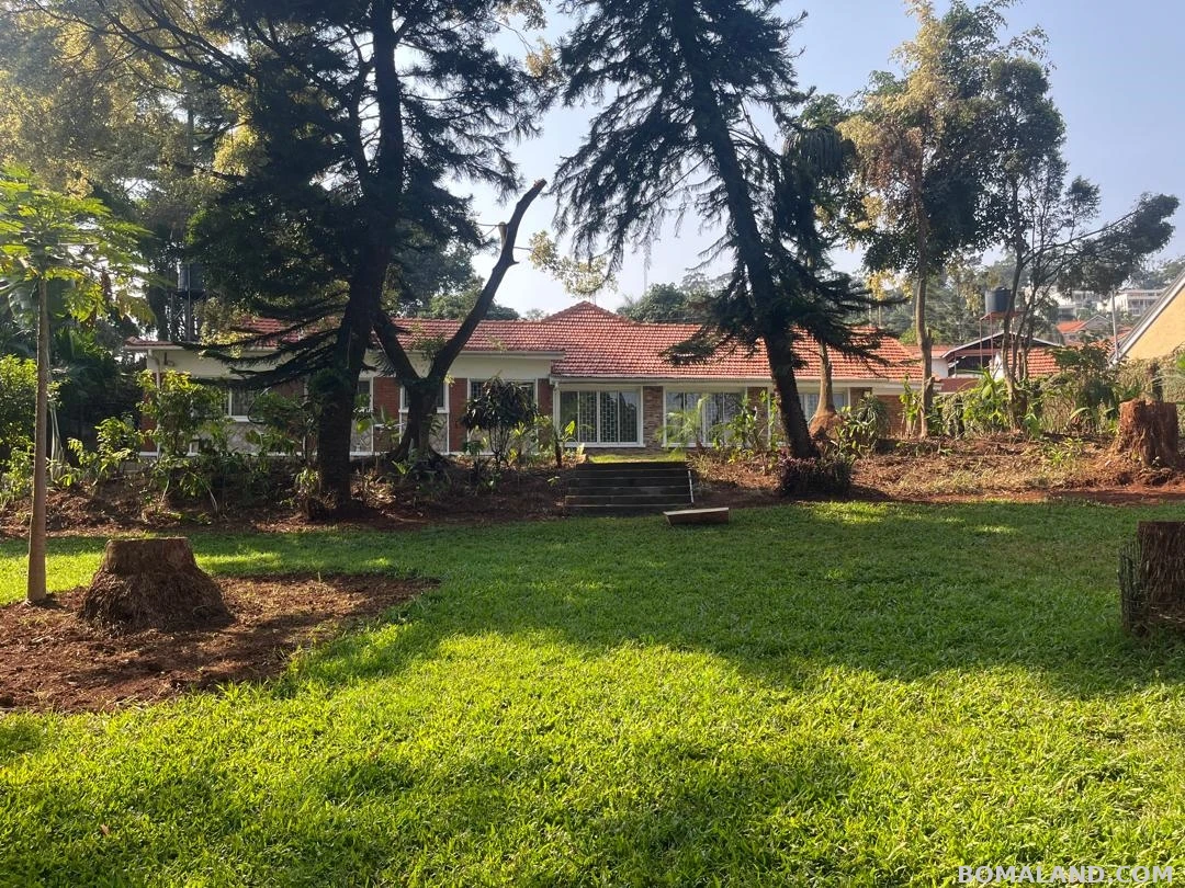 4 bedroom Bungalow for rent in Kansanga Kampala Uganda