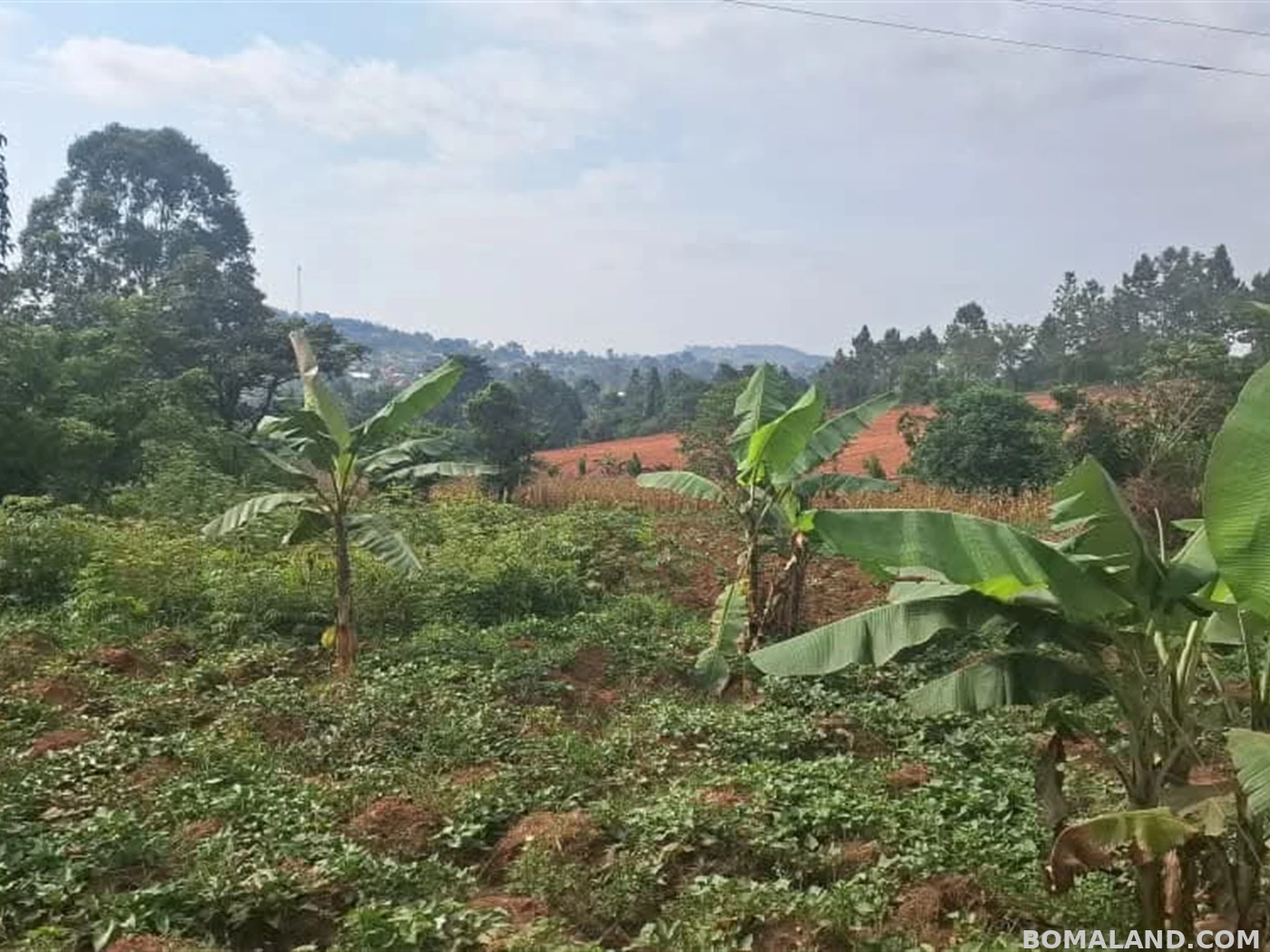 Residential Land for sale in Gayaza Wakiso Uganda