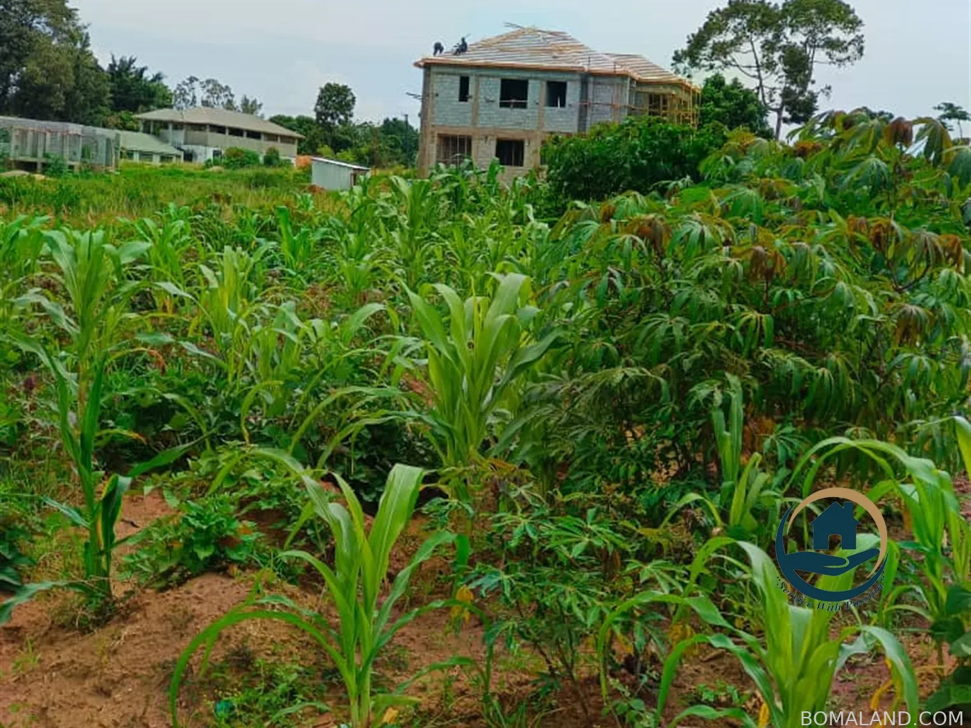 Residential Land for sale in Namulanda Wakiso Uganda