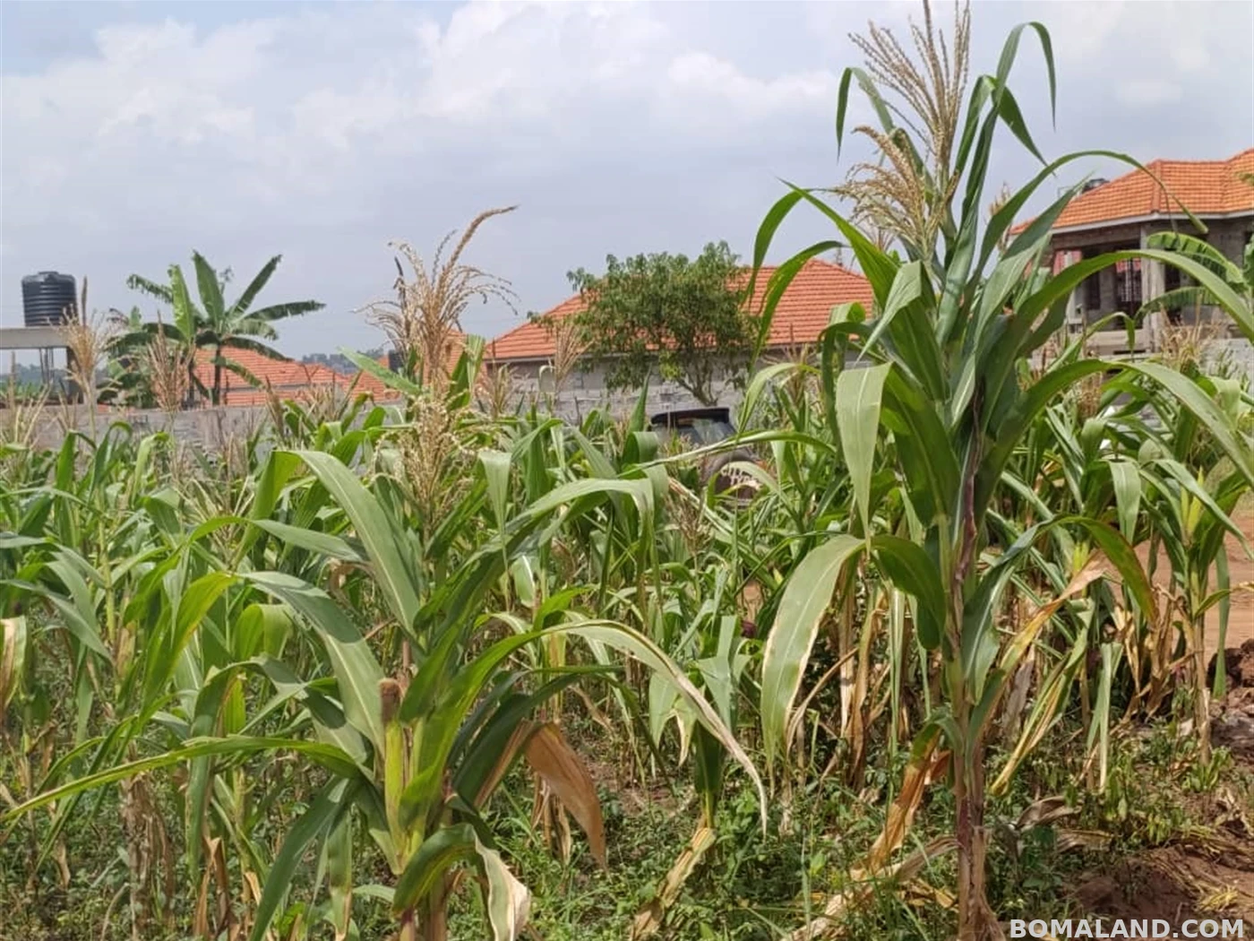 Residential Land for sale in Kira Wakiso Uganda
