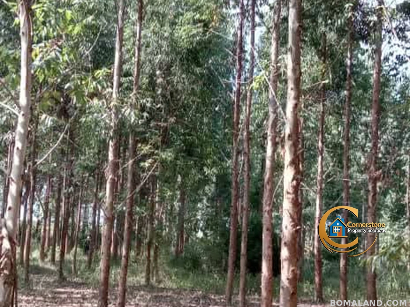 Agricultural Land for sale in Galilaya Kayunga Uganda
