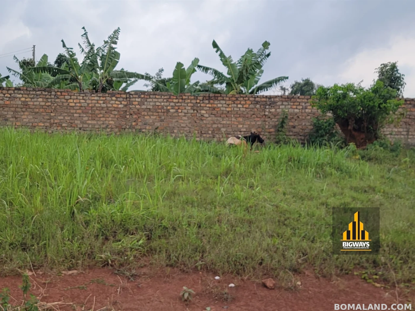Recreational Land for sale in Kisaasi Kampala Uganda