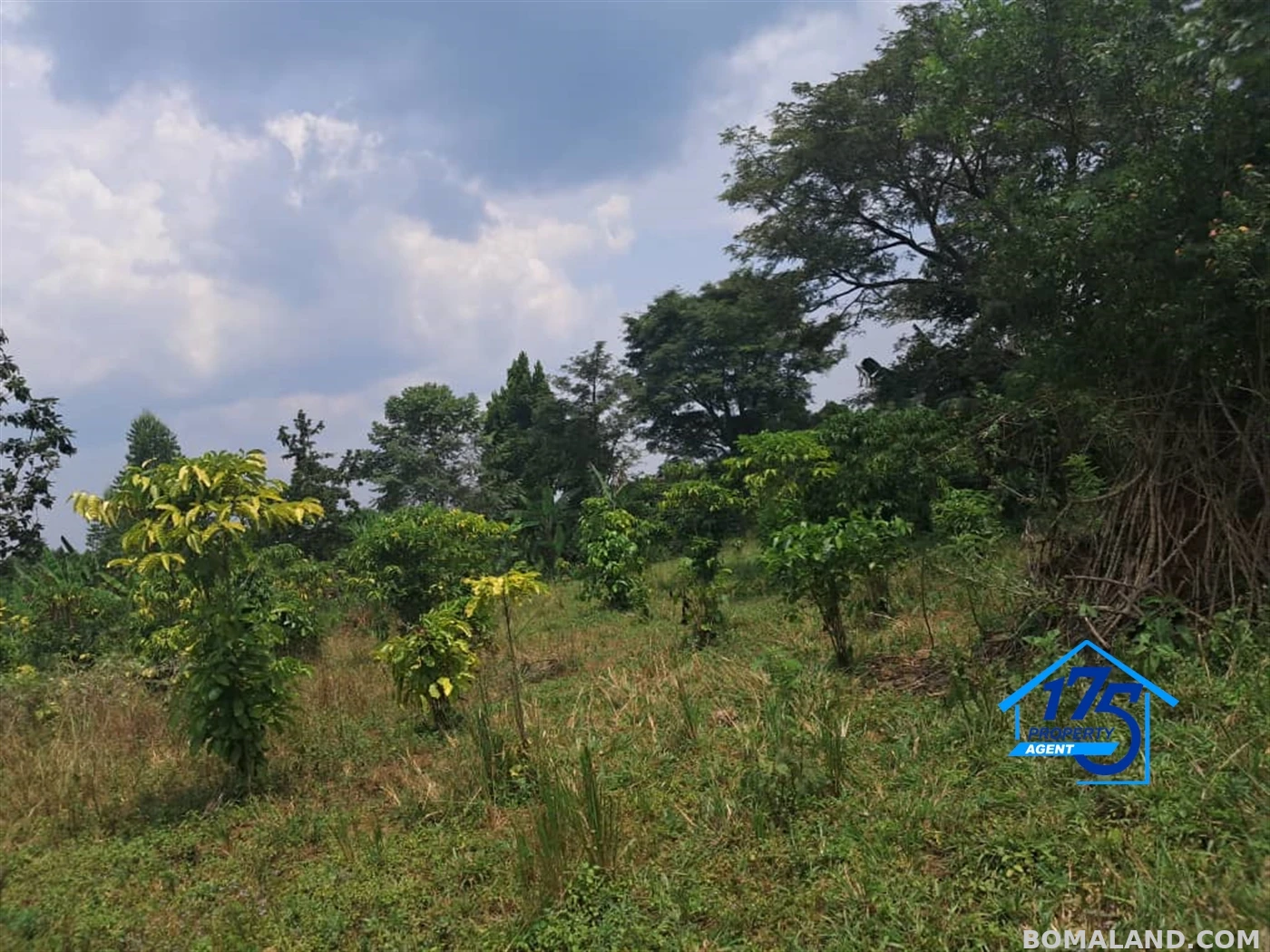 Residential Land for sale in Wabitunguru Luweero Uganda