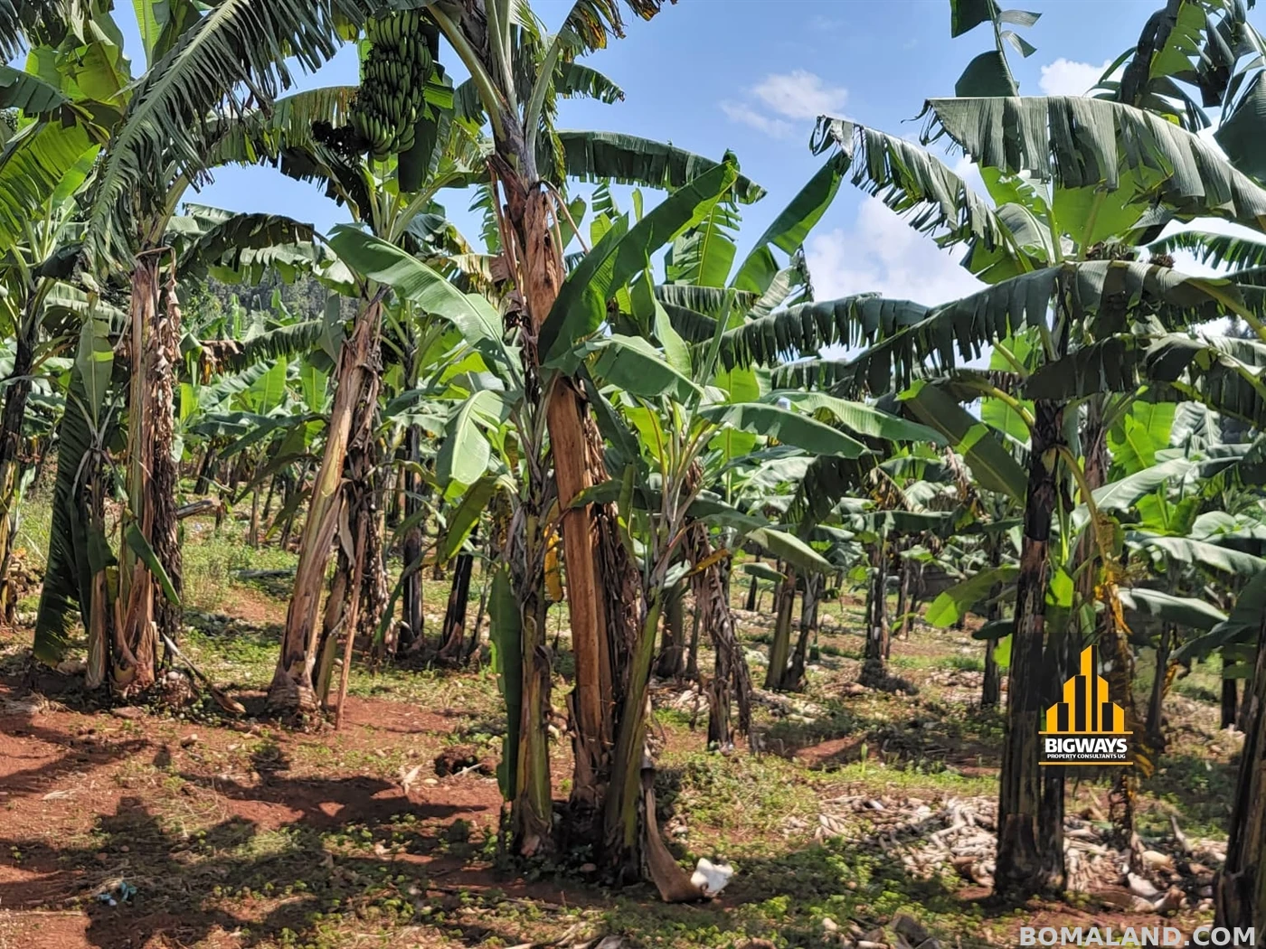 Residential Land for sale in Bwebajja Wakiso Uganda