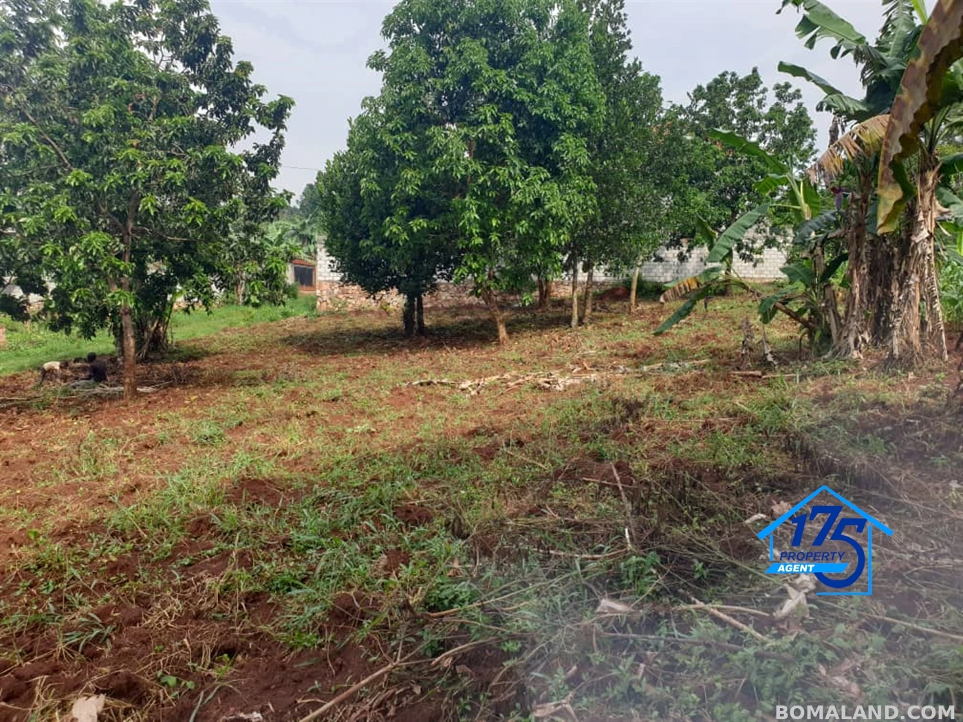 Residential Land for sale in Gayaza Wakiso Uganda