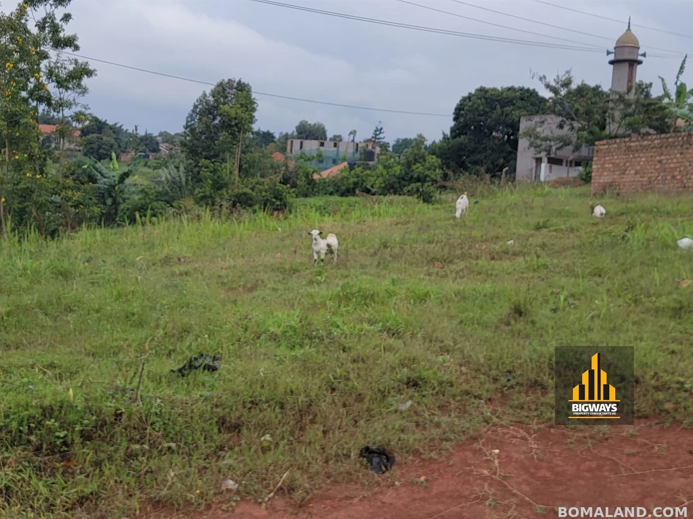 Recreational Land for sale in Kisaasi Kampala Uganda