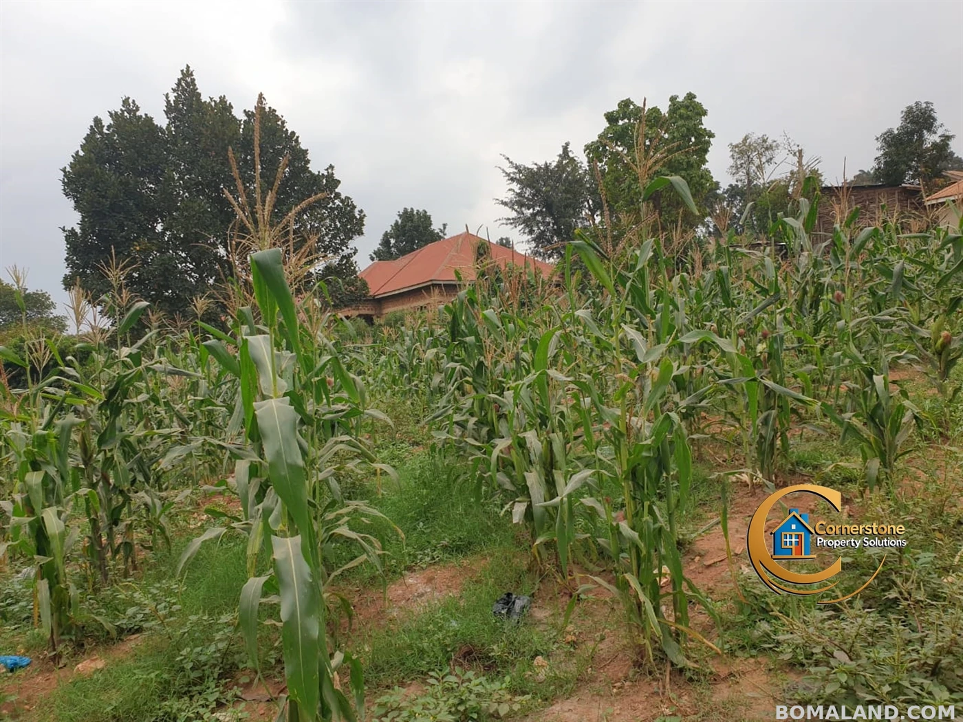 Residential Land for sale in Mpererwe Wakiso Uganda
