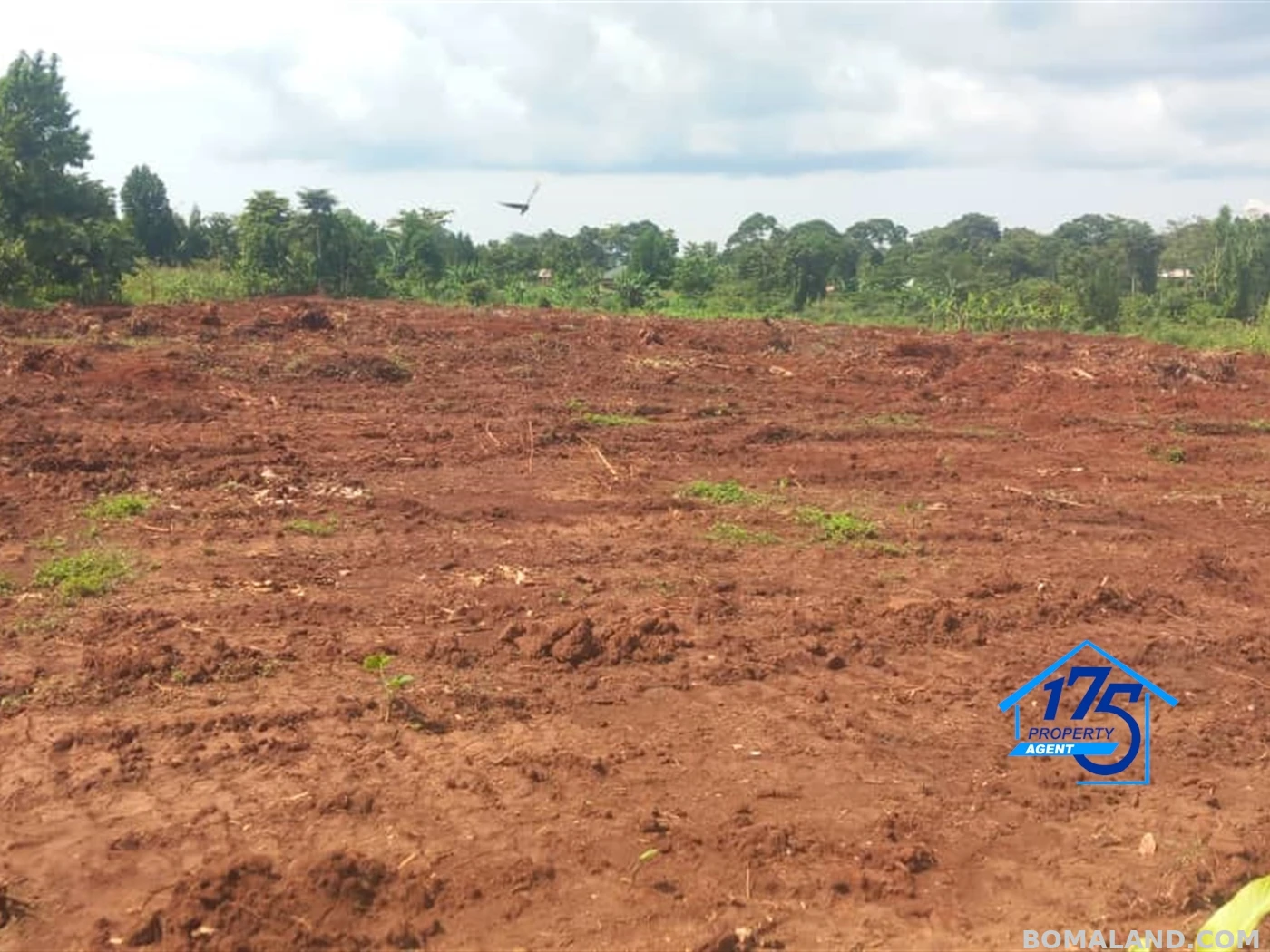 Residential Land for sale in Kisoga Mukono Uganda