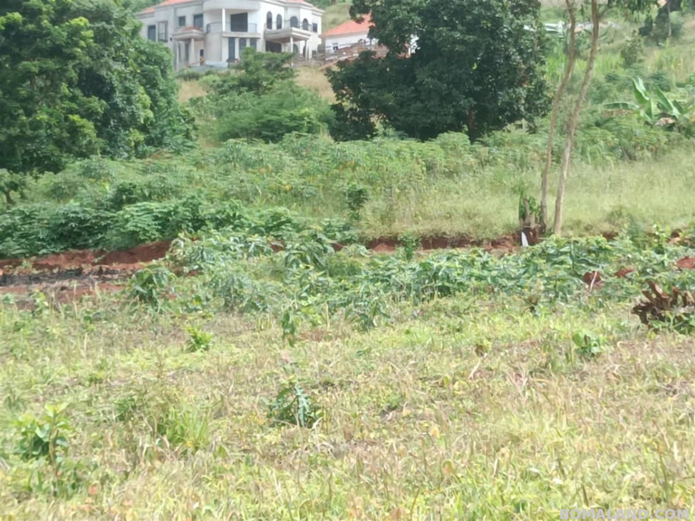 Residential Land for sale in Entebbe Wakiso Uganda