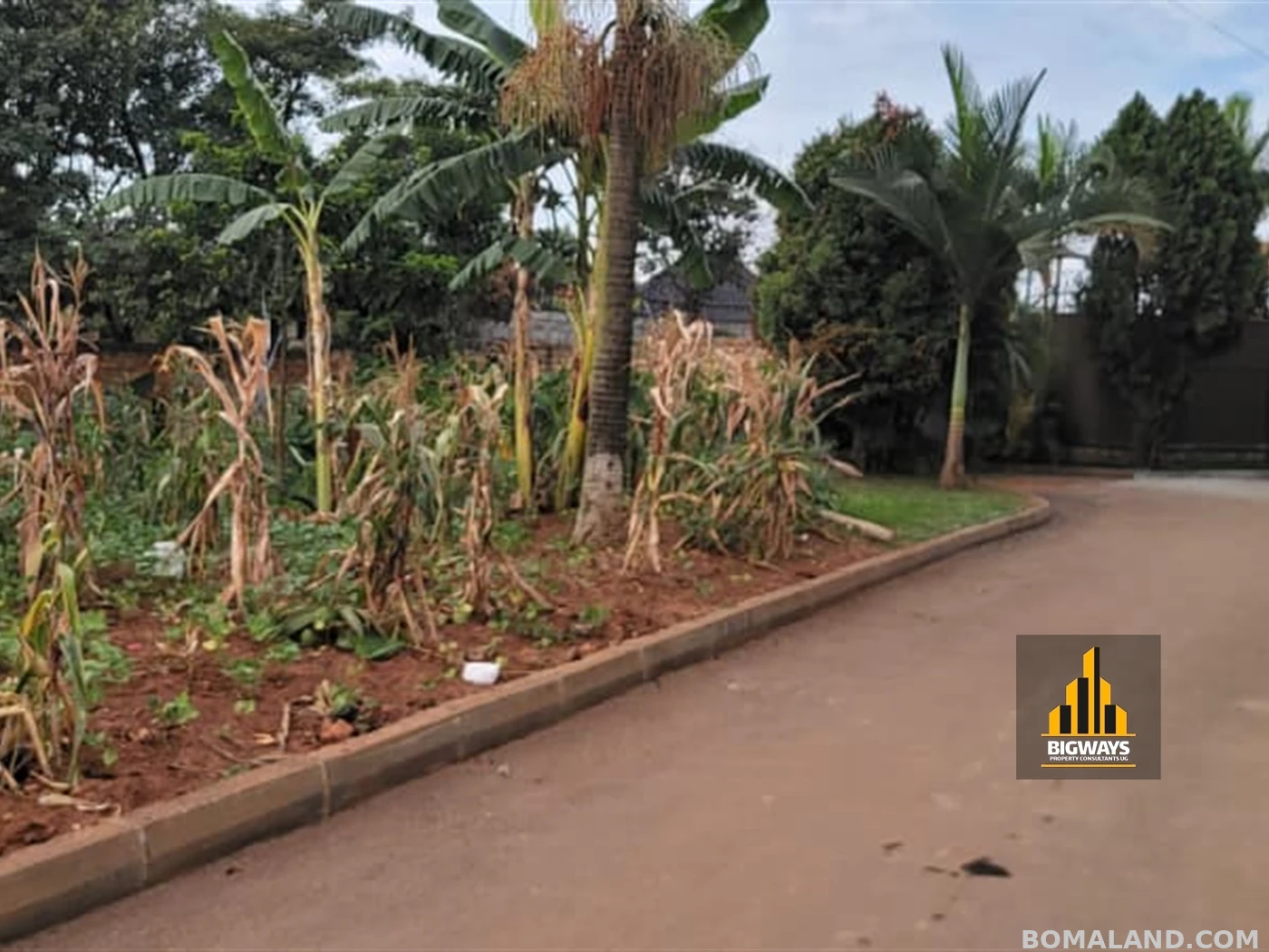 Residential Land for sale in Kiwaatule Kampala Uganda