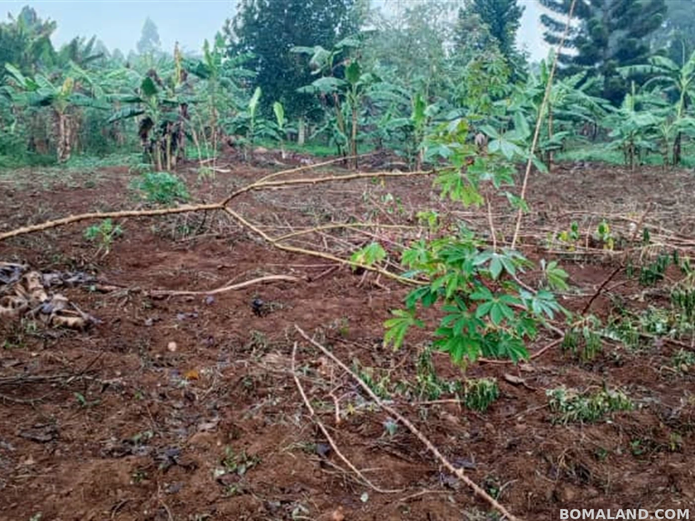 Residential Land for sale in Jjoggo Mukono Uganda