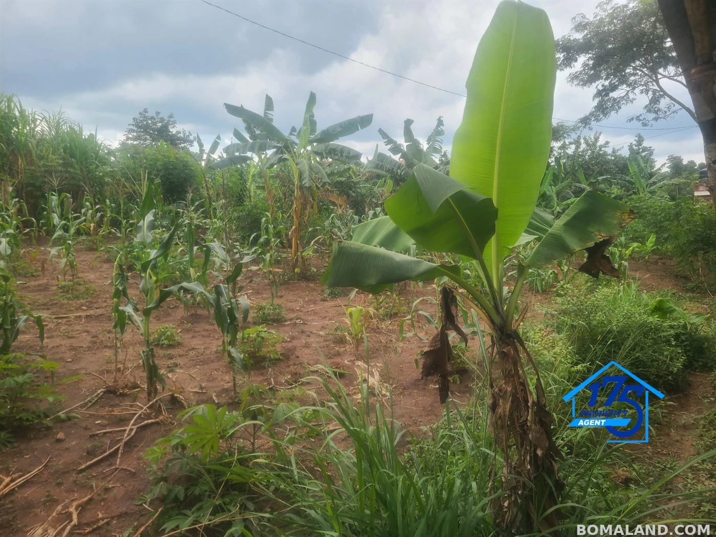 Residential Land for sale in Kiwenda Wakiso Uganda