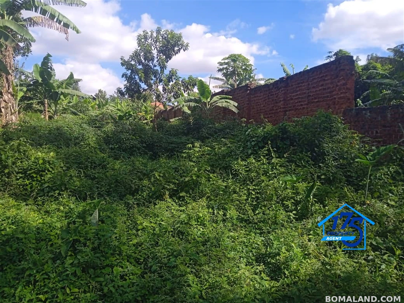 Residential Land for sale in Masooli Wakiso Uganda
