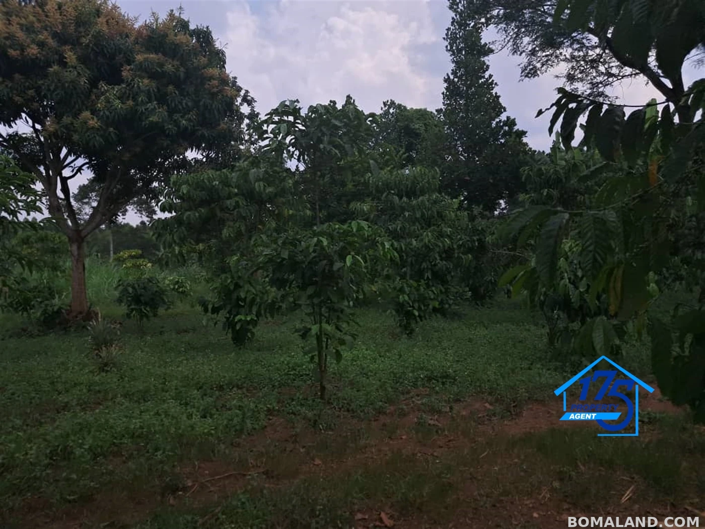 Residential Land for sale in Wabitunguru Luweero Uganda