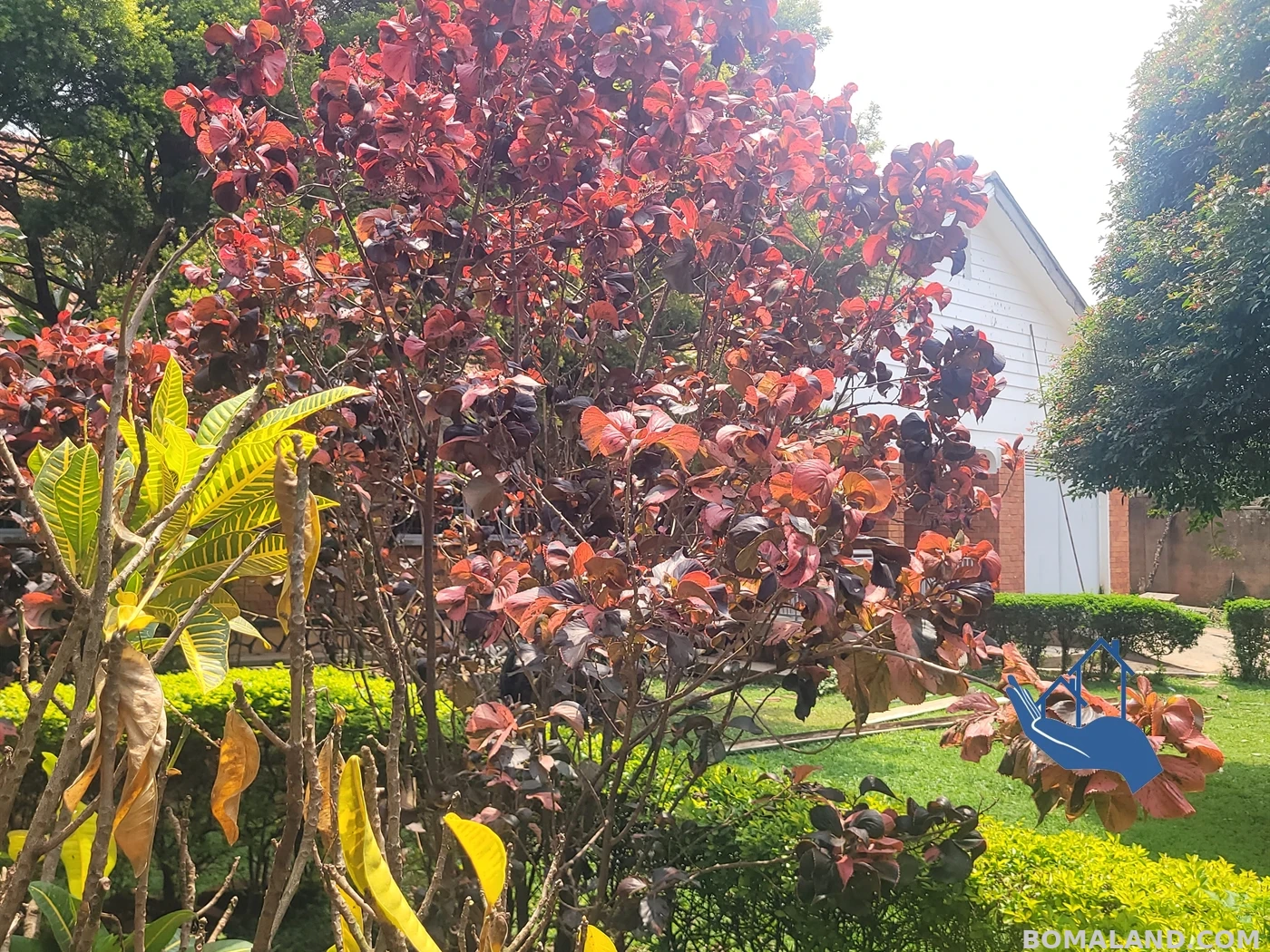 4 bedroom Bungalow for rent in Muyenga Kampala Uganda