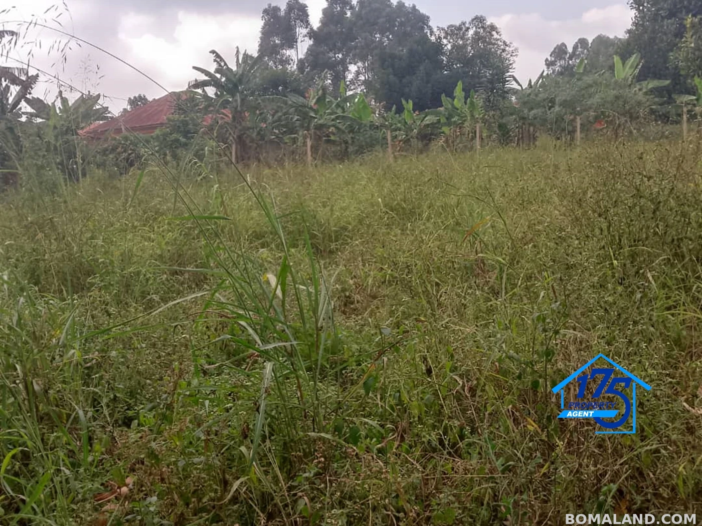 Residential Land for sale in Misindye Wakiso Uganda