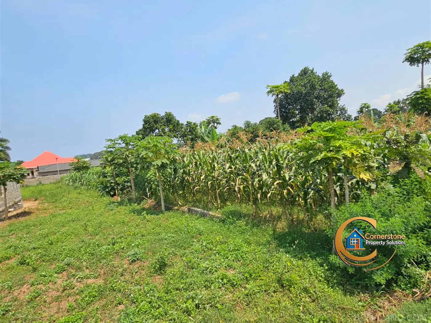 Residential Land for sale in Nkumba Wakiso Uganda