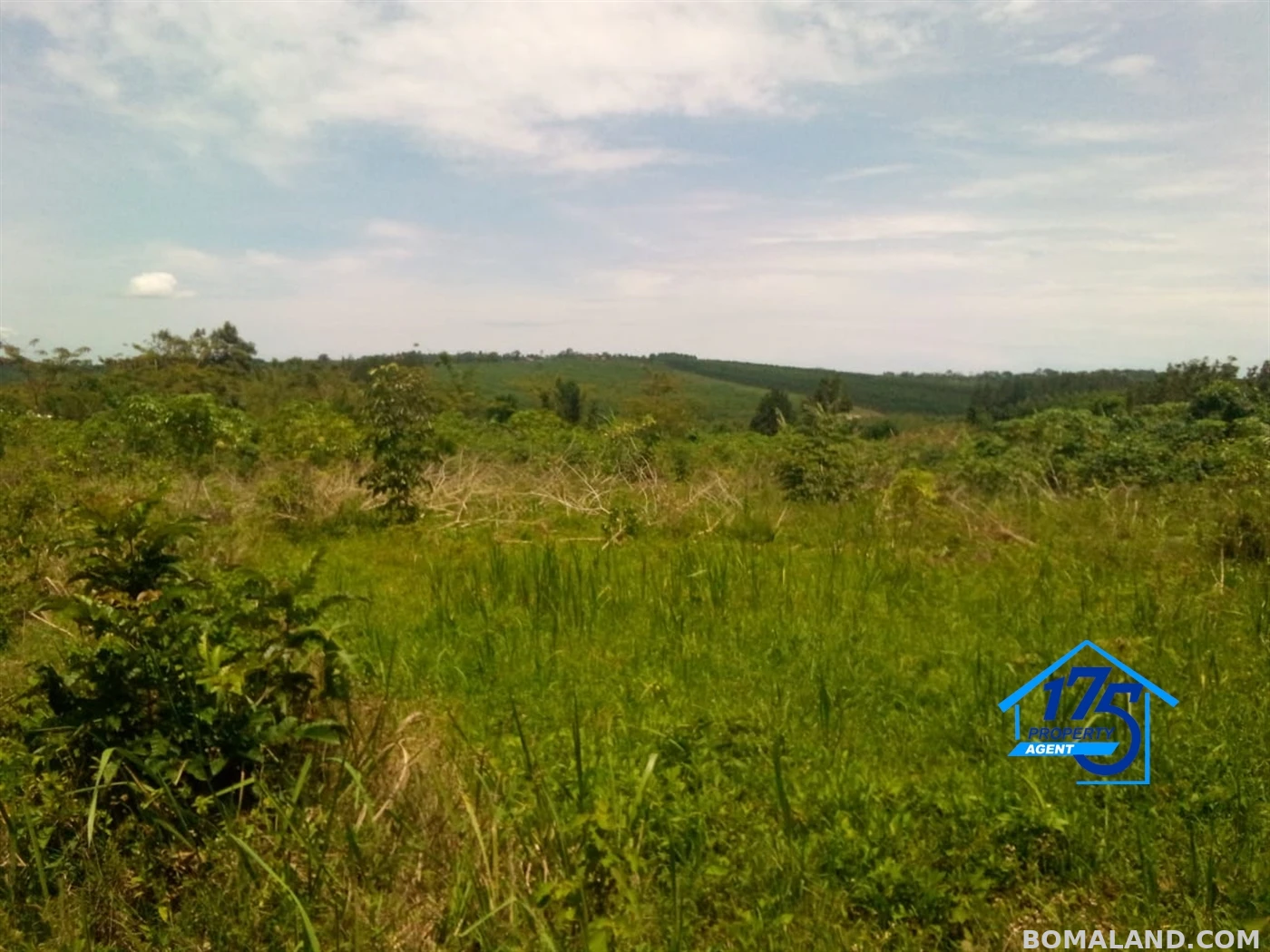 Residential Land for sale in Bukeelele Mukono Uganda