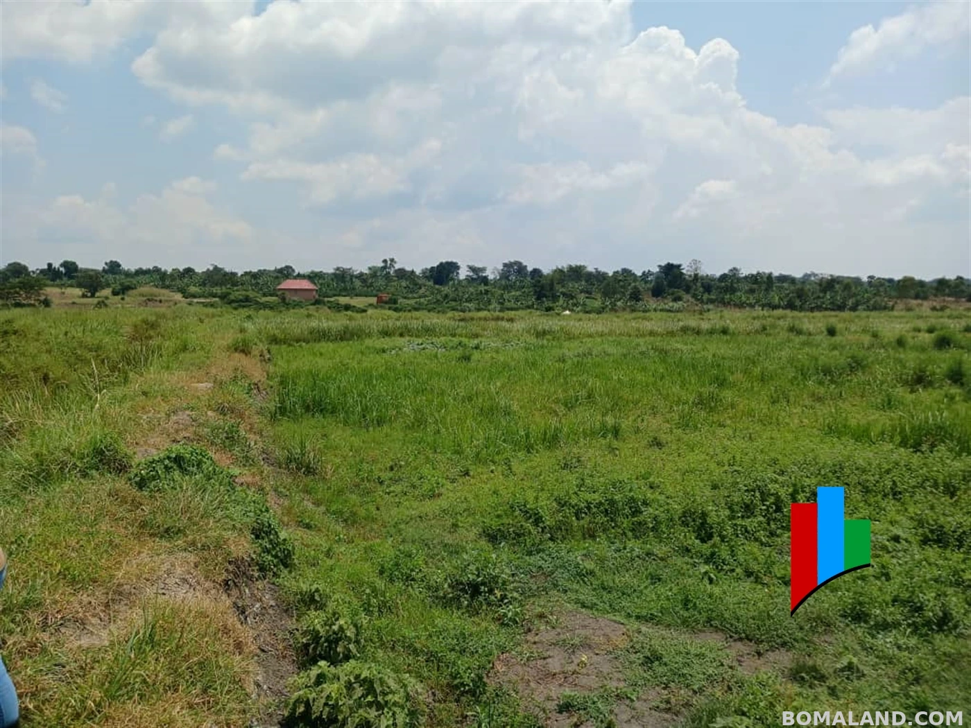 Agricultural Land for sale in Kiwoko Nakaseke Uganda