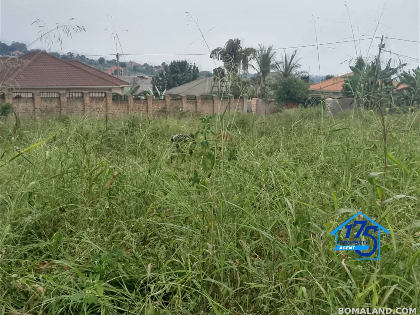 Residential Land for sale in Misindye Wakiso Uganda