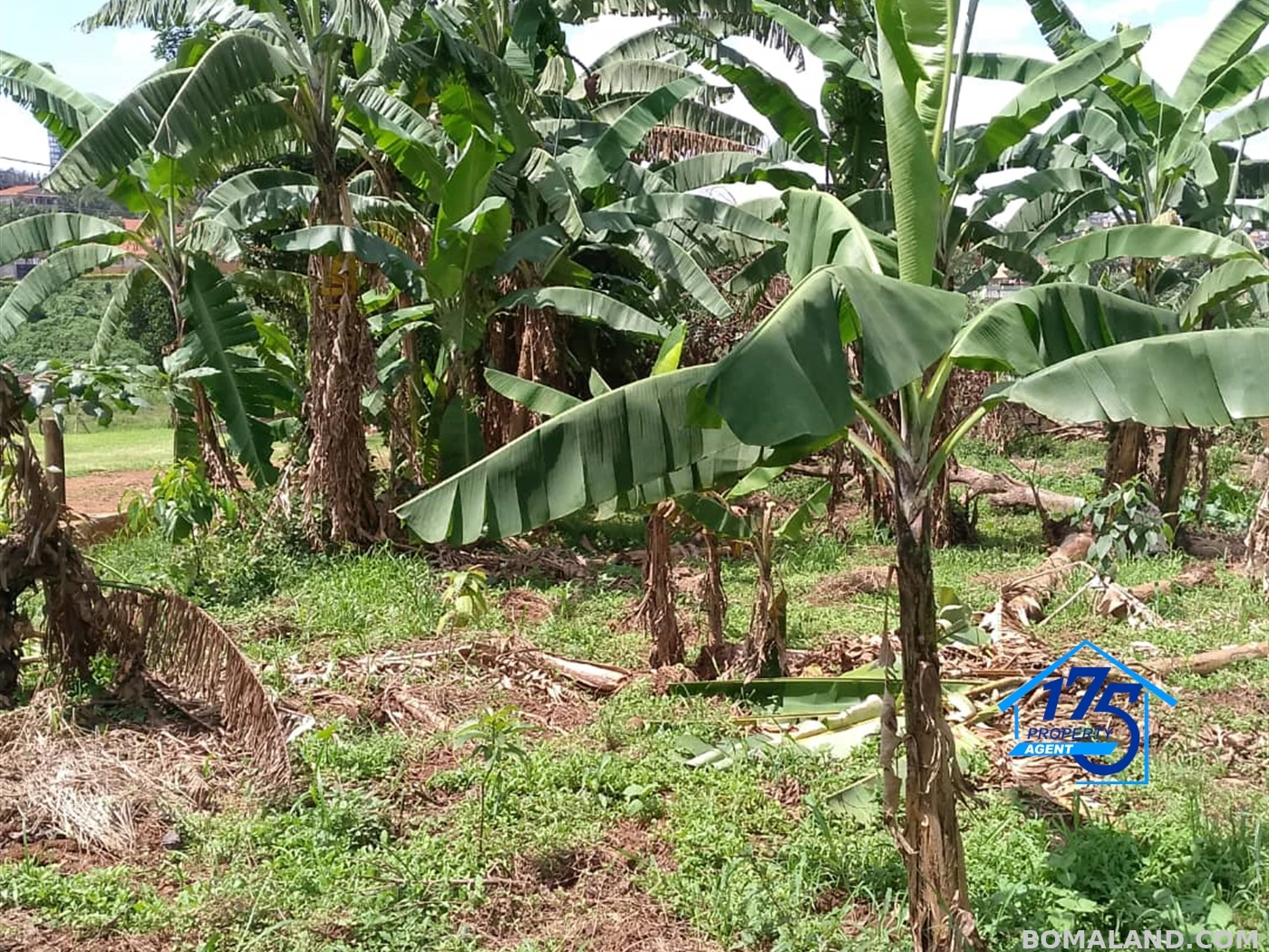 Residential Land for sale in Naalya Wakiso Uganda