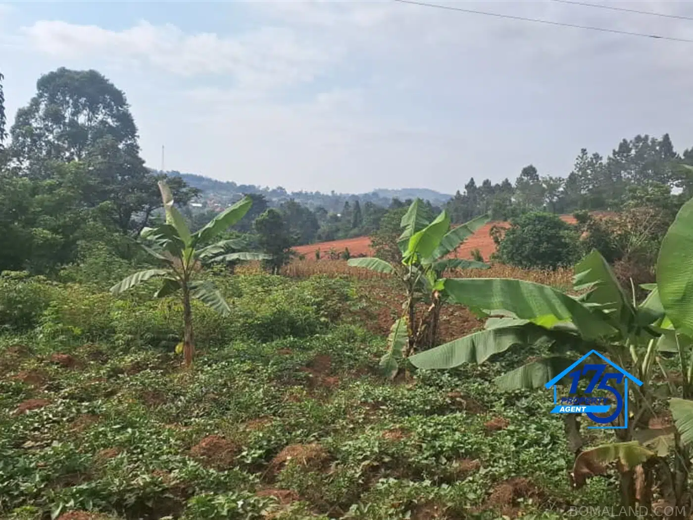 Residential Land for sale in Gayaza Wakiso Uganda
