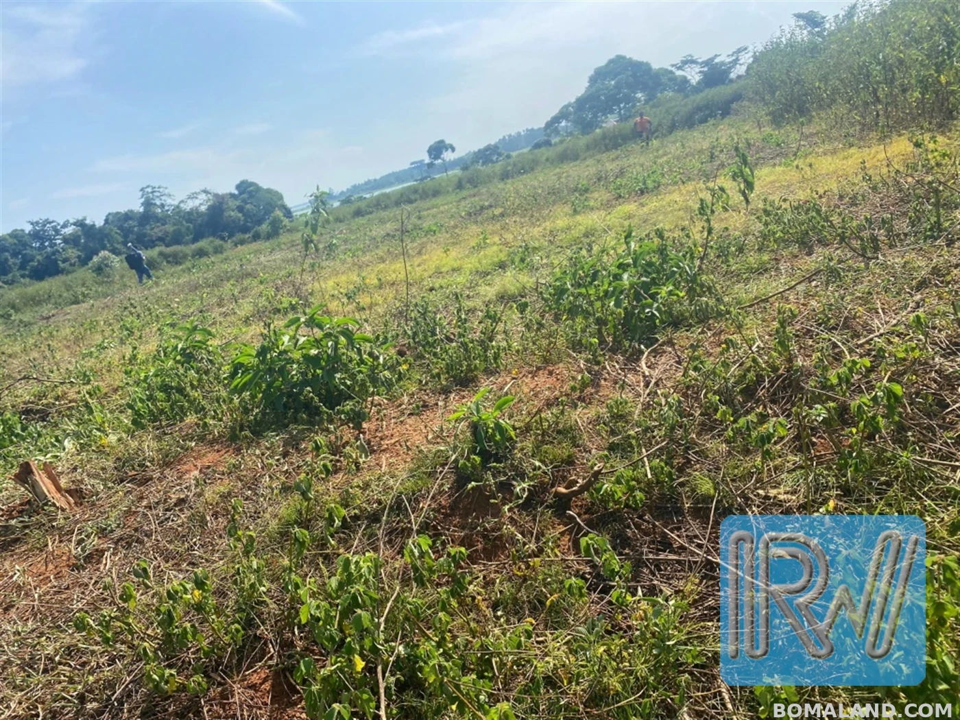 Residential Land for sale in Buwaya Wakiso Uganda