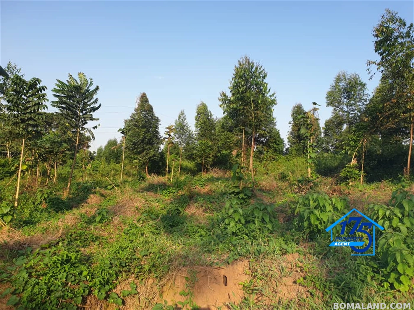 Residential Land for sale in Migade Wakiso Uganda