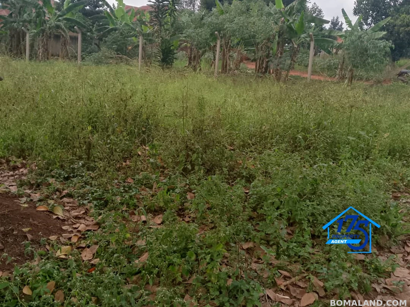 Residential Land for sale in Misindye Wakiso Uganda