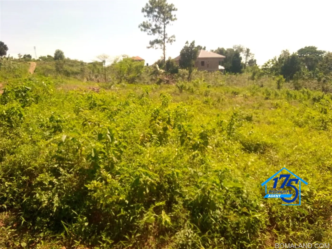 Residential Land for sale in Nabusugwe Wakiso Uganda