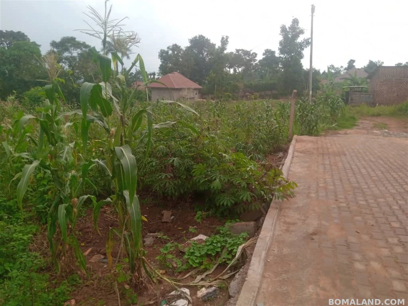 Residential Land for sale in Nakagere Mukono Uganda
