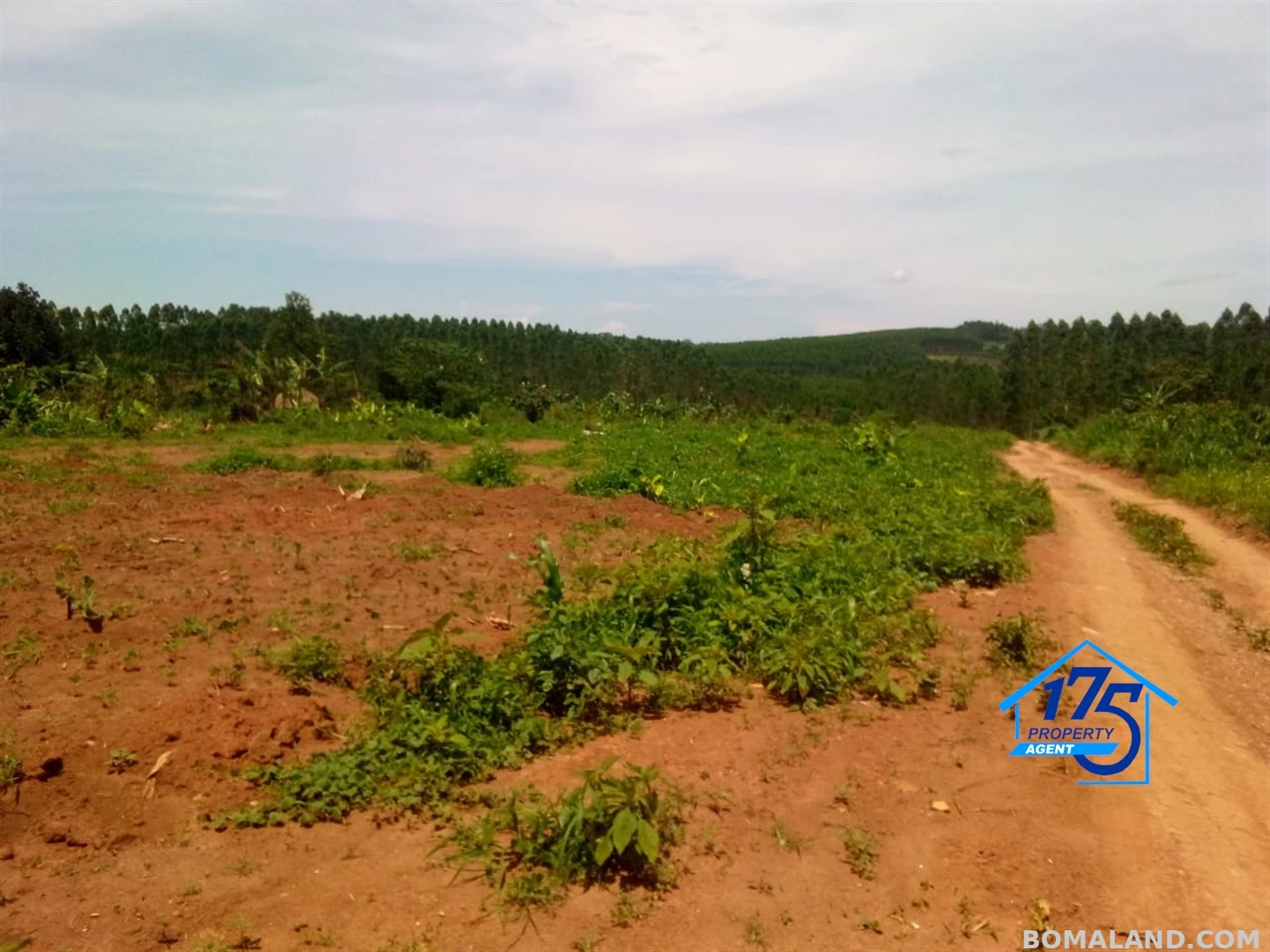 Residential Land for sale in Bukeelele Mukono Uganda