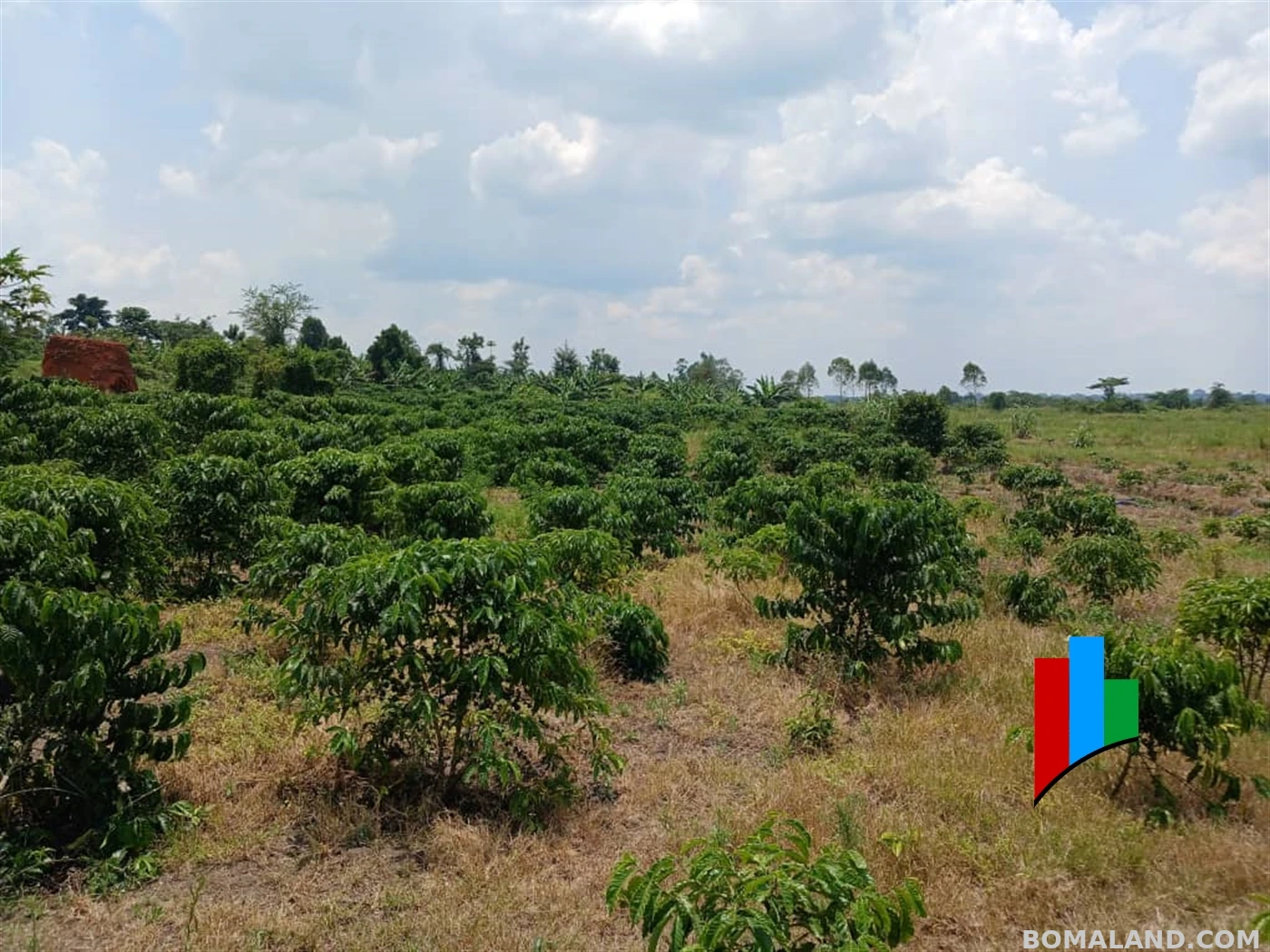 Agricultural Land for sale in Kiwoko Nakaseke Uganda