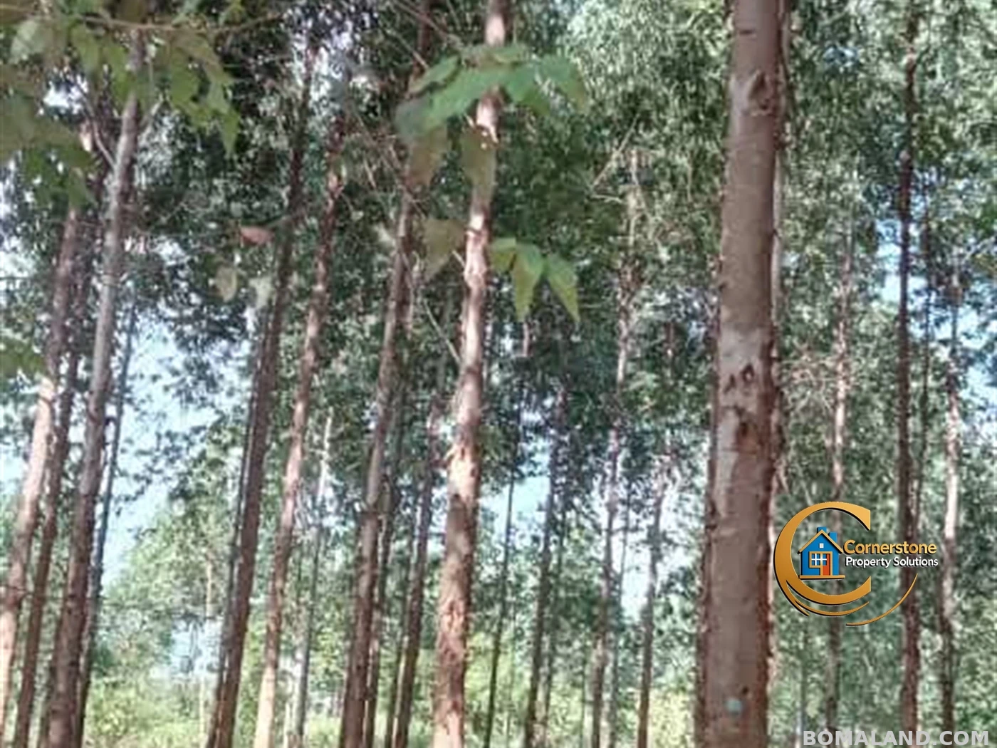 Agricultural Land for sale in Galilaya Kayunga Uganda
