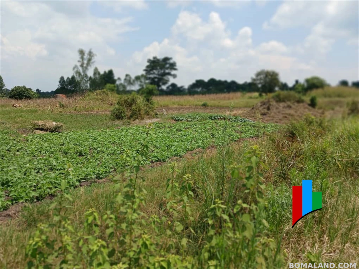 Agricultural Land for sale in Kiwoko Nakaseke Uganda