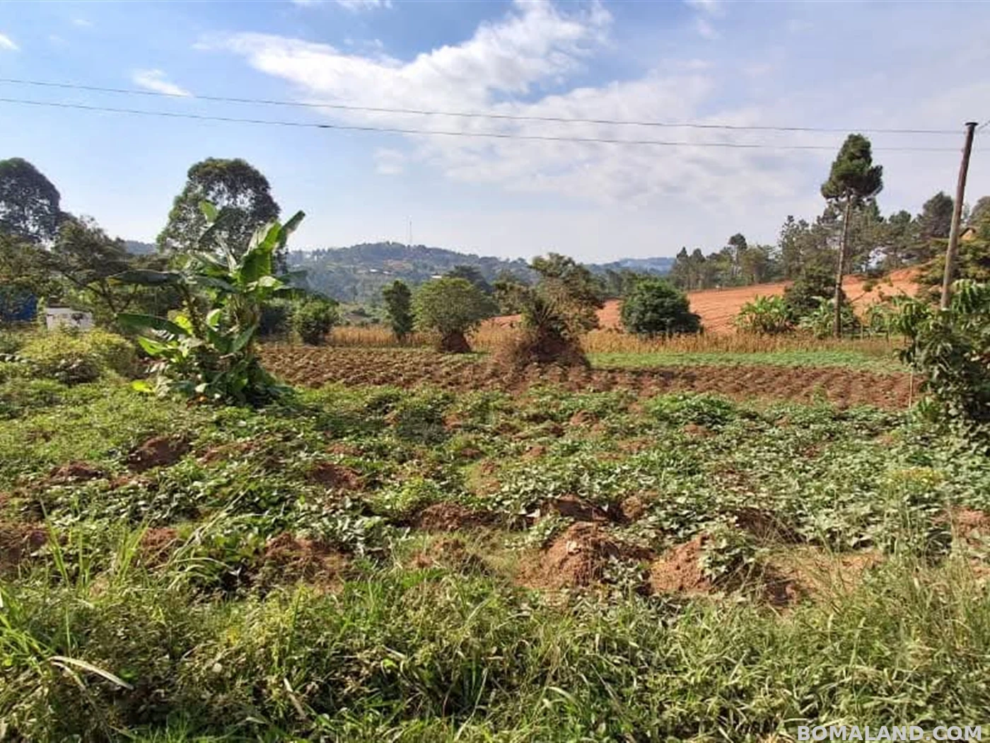 Residential Land for sale in Gayaza Wakiso Uganda