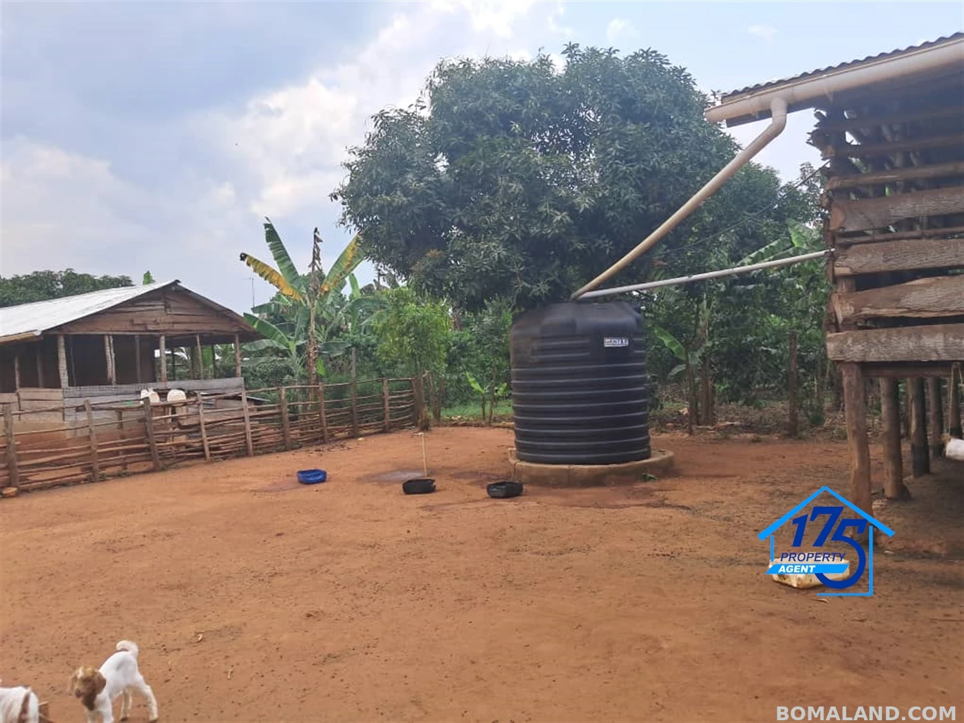 Residential Land for sale in Wabitunguru Luweero Uganda