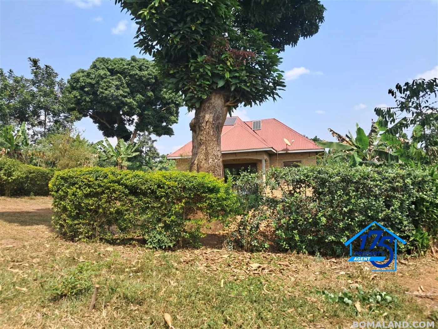 Residential Land for sale in Kikonge Mityana Uganda