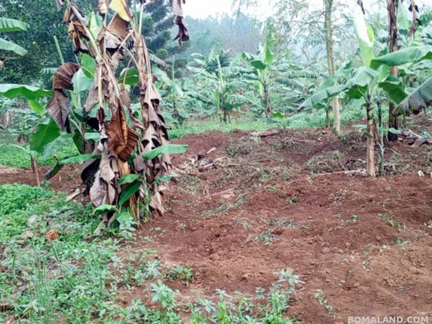 Residential Land for sale in Jjoggo Mukono Uganda